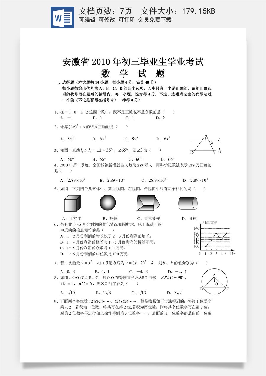 2010年安徽中考数学试题及答案.doc