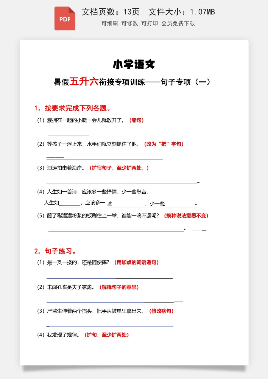 小学语文《句子专项》五升六语文.pdf